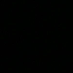 Meet your Posher, Raquel